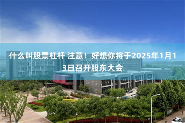 什么叫股票杠杆 注意！好想你将于2025年1月13日召开股东大会