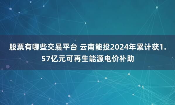 股票有哪些交易平台 云南能投2024年累计获1.57亿元可再生能源电价补助