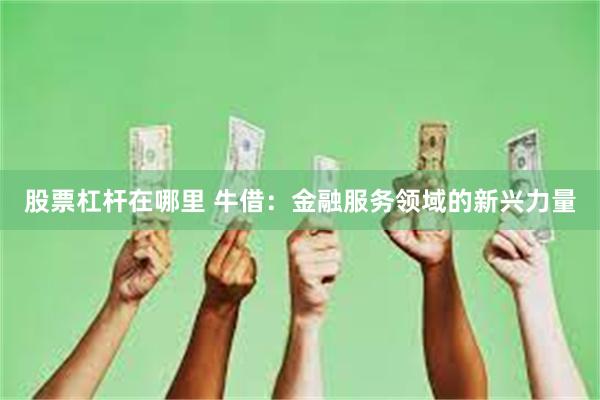 股票杠杆在哪里 牛借：金融服务领域的新兴力量