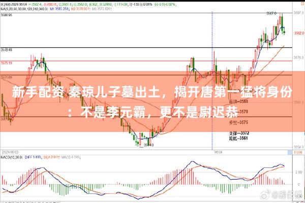 新手配资 秦琼儿子墓出土，揭开唐第一猛将身份：不是李元霸，更不是尉迟恭