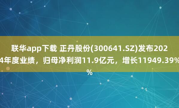 联华app下载 正丹股份(300641.SZ)发布2024年度业绩,归母净利润11.9亿元,增长11949.39%