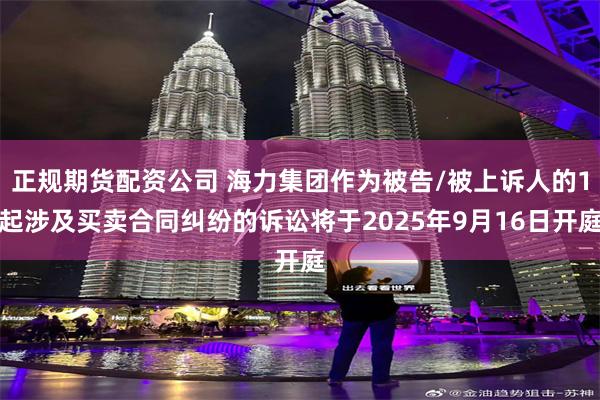 正规期货配资公司 海力集团作为被告/被上诉人的1起涉及买卖合同纠纷的诉讼将于2025年9月16日开庭